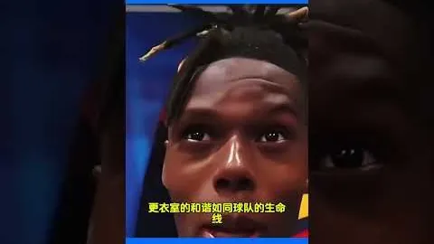 NBA老鹰对独行侠对决数据解析